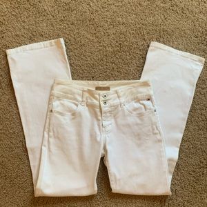 Bootcut Tommy Hilfiger Jeans